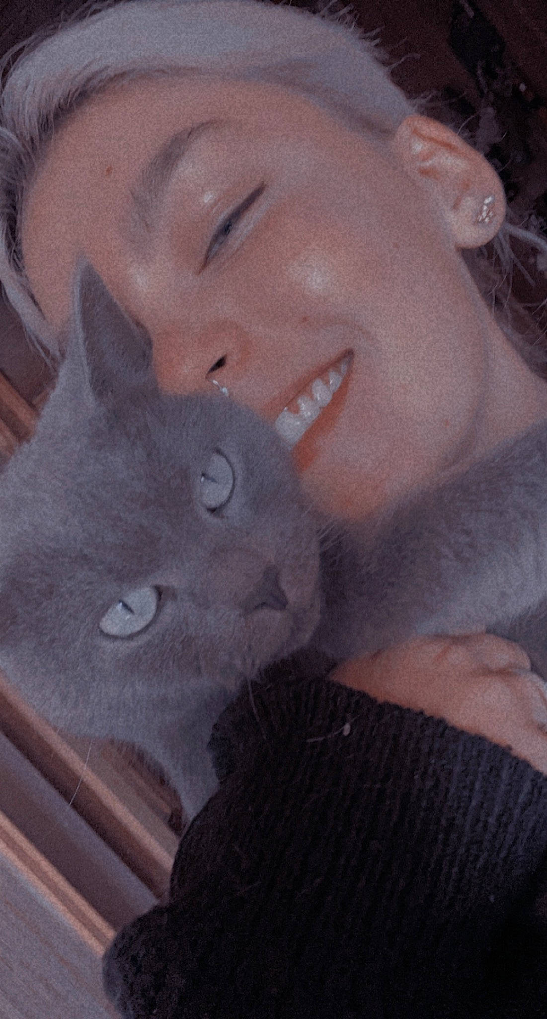 Pumba a rejoint le concours — aidez-le/la à gagner de superbes lots ! art, beard, carnivore, cat, ear, eyelash, facial_expression, felidae, gesture, happy, iris, jaw, mammal, selfie, small_to_medium_sized_cats, smile, snout, textile, vertebrate, whiskers