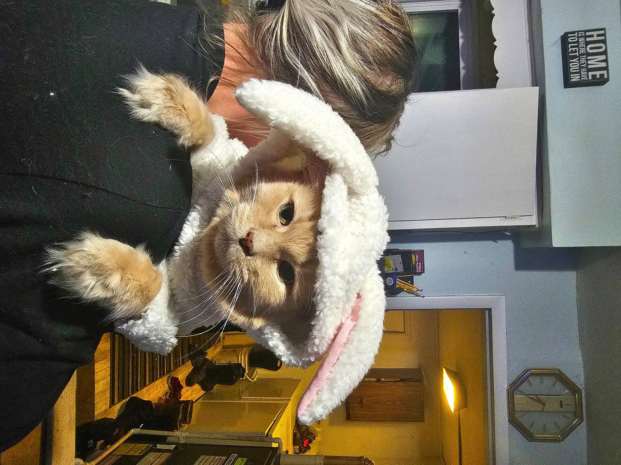 Sunny is registered to the contest to win money with this photo: animal_product, event, fawn, feather, fur, fur_clothing, natural_material, plush, snout, stuffed_toy, tail, terrestrial_animal, toy, whiskers