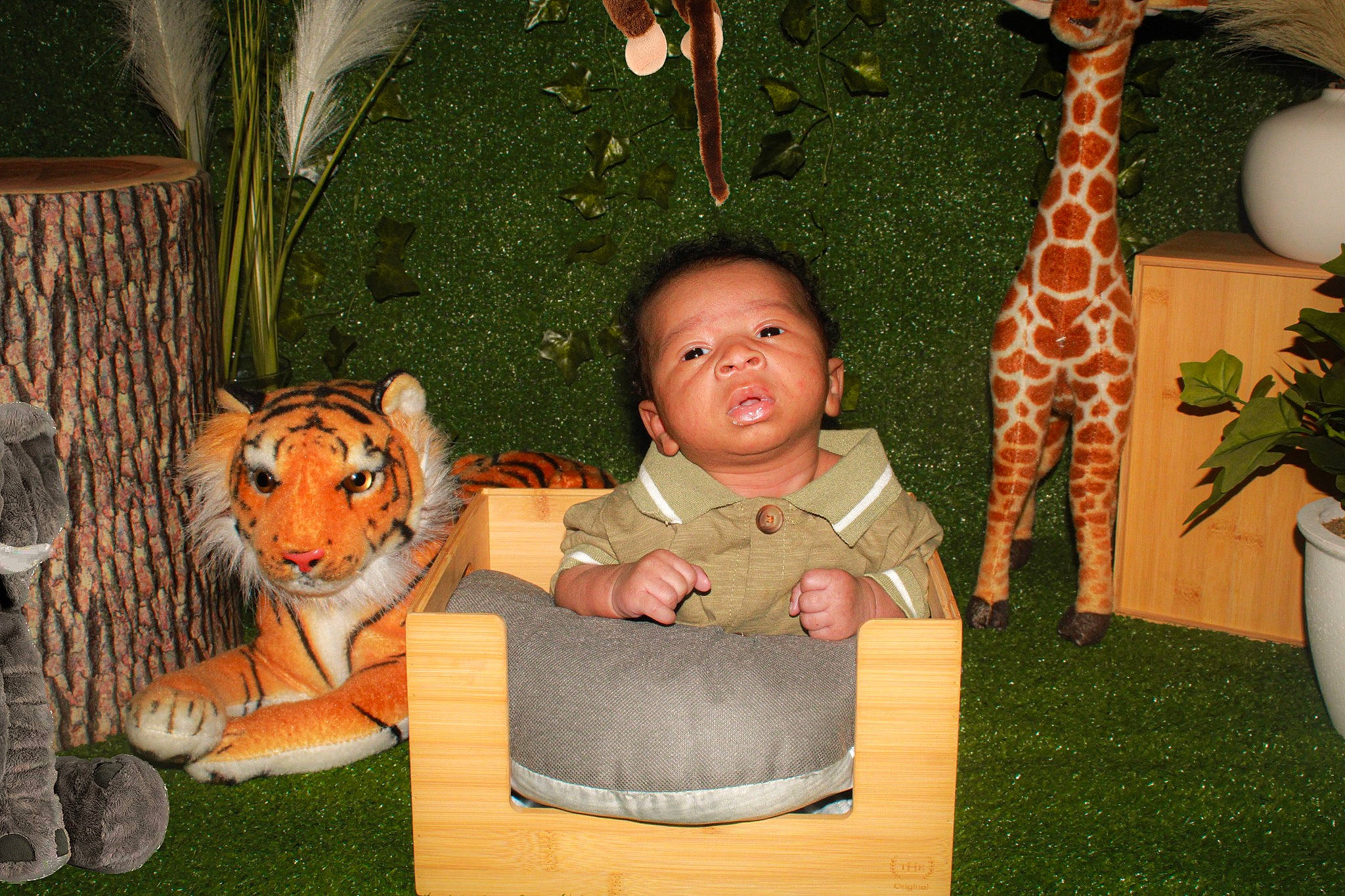 Kaden joined the competition — help win amazing prizes! adaptation, big_cats, box, chair, eye, fawn, flowerpot, fun, giraffe, giraffidae, grass, green, happy, head, leisure, person, plant, sitting, terrestrial_animal, toddler