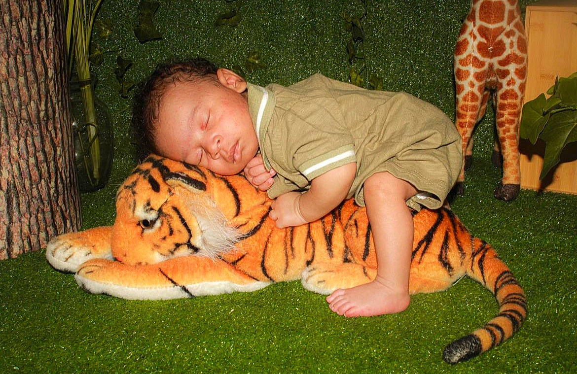 Kaden is registered to the contest to win money with this photo: bengal_tiger, big_cats, comfort, fawn, felidae, foot, fun, grass, green, human_leg, lap, leg, military_camouflage, organ, people_in_nature, person, siberian_tiger, sitting, terrestrial_animal, thigh