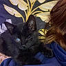 black_kitten, cat, pet, animal, feline, indoor, person, shoulder, blue_hoodie, fur, cute, cozy, resting, one_eye_closed, decorative_background, yellow_leaves, close_up, companion, domestic_animal, snuggling