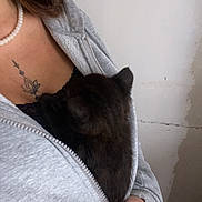 Jet participe au concours pour gagner de l'argent avec cette photo : person, hand, grey_hoodie, black_kitten, tattoo, pearl_necklace, indoor, wall, zipper, holding, snuggling, young_adult, casual_clothing, skin, fingers, comfort, pet, animal, cuddle, closeup