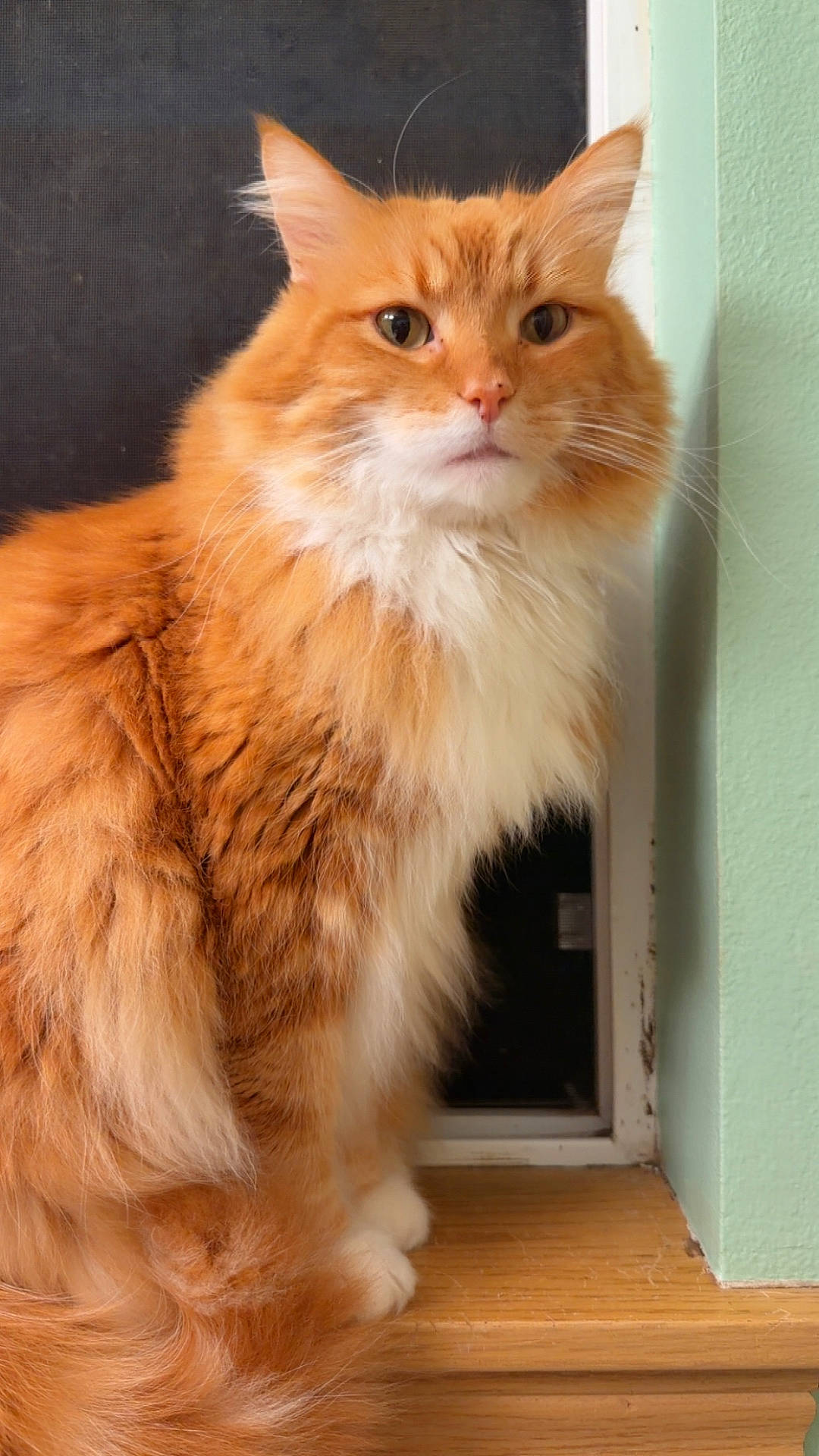 Fireheart