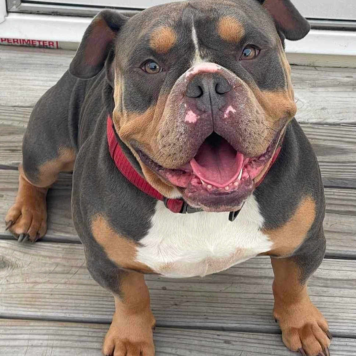 Duke Da God