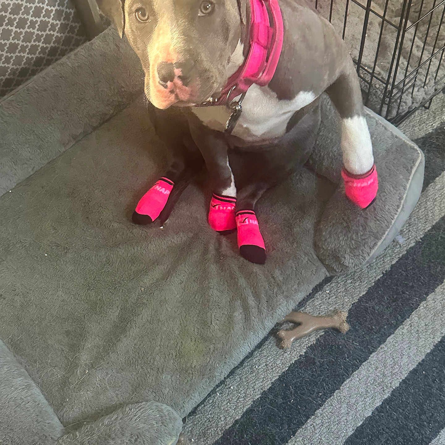 Roxy Mae