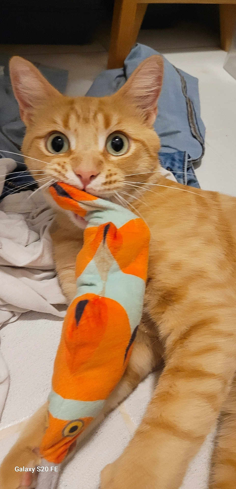 Charlie
