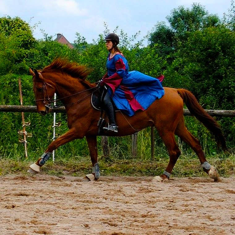 Kelly a rejoint le concours — aidez-le/la à gagner de superbes lots ! animal_sports, bridle, endurance_riding, equestrian, equestrian_sport, equestrianism, equitation, halter, horse, horse_supplies, horse_tack, mammal, mare, outdoor_recreation, pack_animal, recreation, rein, saddle, trail_riding, vertebrate