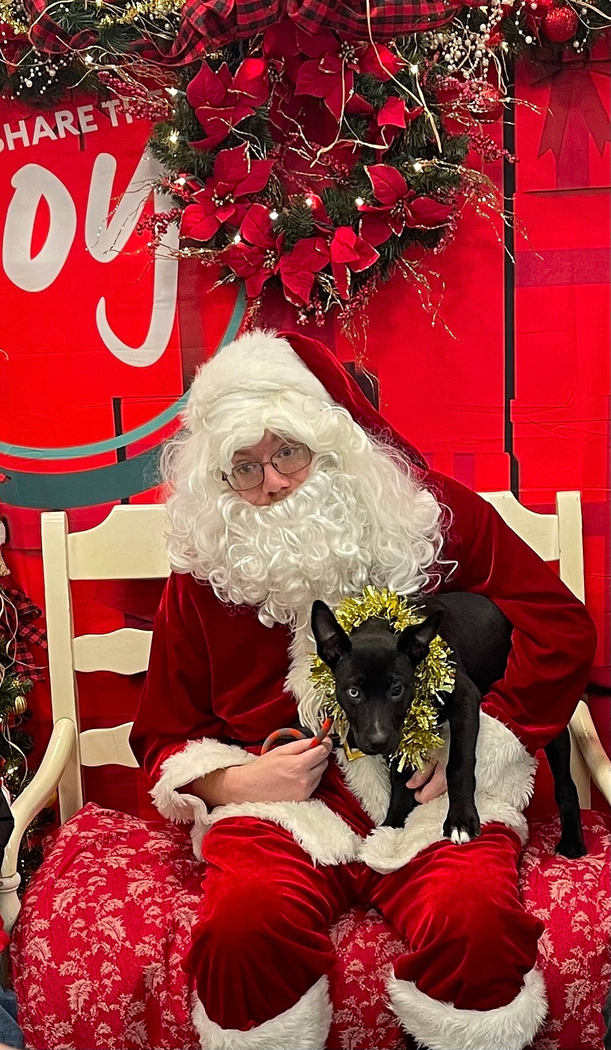 Betty joined the competition — help win amazing prizes! beard, christmas, christmas_decoration, christmas_eve, event, facial_hair, fictional_character, happy, hat, holiday, human_body, lap, photograph, plant, red, santa_claus, sitting, snapshot, tradition, tree