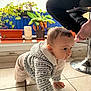 baby, crawling, indoor, tiled_floor, sweater, person, potted_plants, plant, floor, child, curious, candid, cozy, patterned_clothing, stool, footwear, home, exploration, young_child, casual