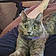 Lucipurr