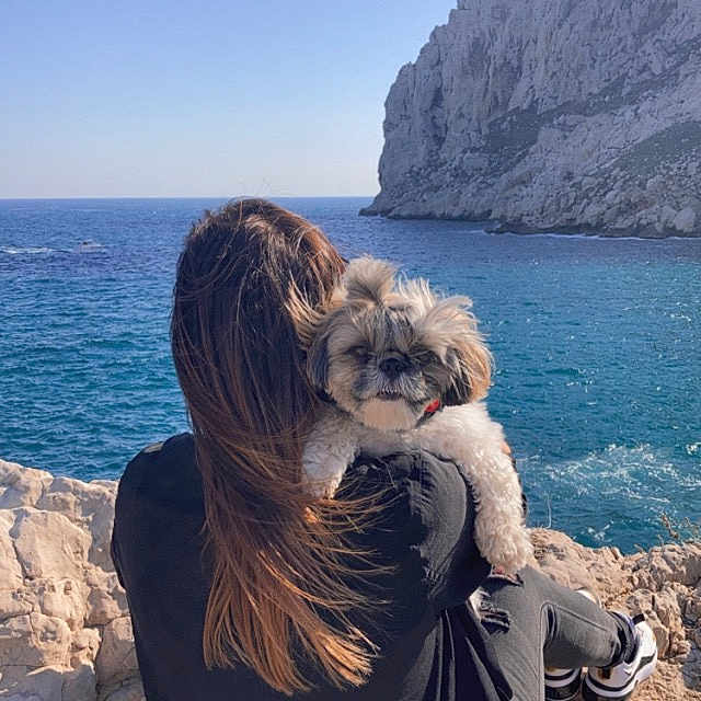 Laya participe au concours pour gagner de l'argent avec cette photo : blue_sky, calm, casual_clothing, dog, fluffy_dog, footwear, long_hair, nature, ocean, outdoor, person, pet, relaxing, rocky_cliff, scenery, scruffy_dog, sea, sitting, sky, sunlight