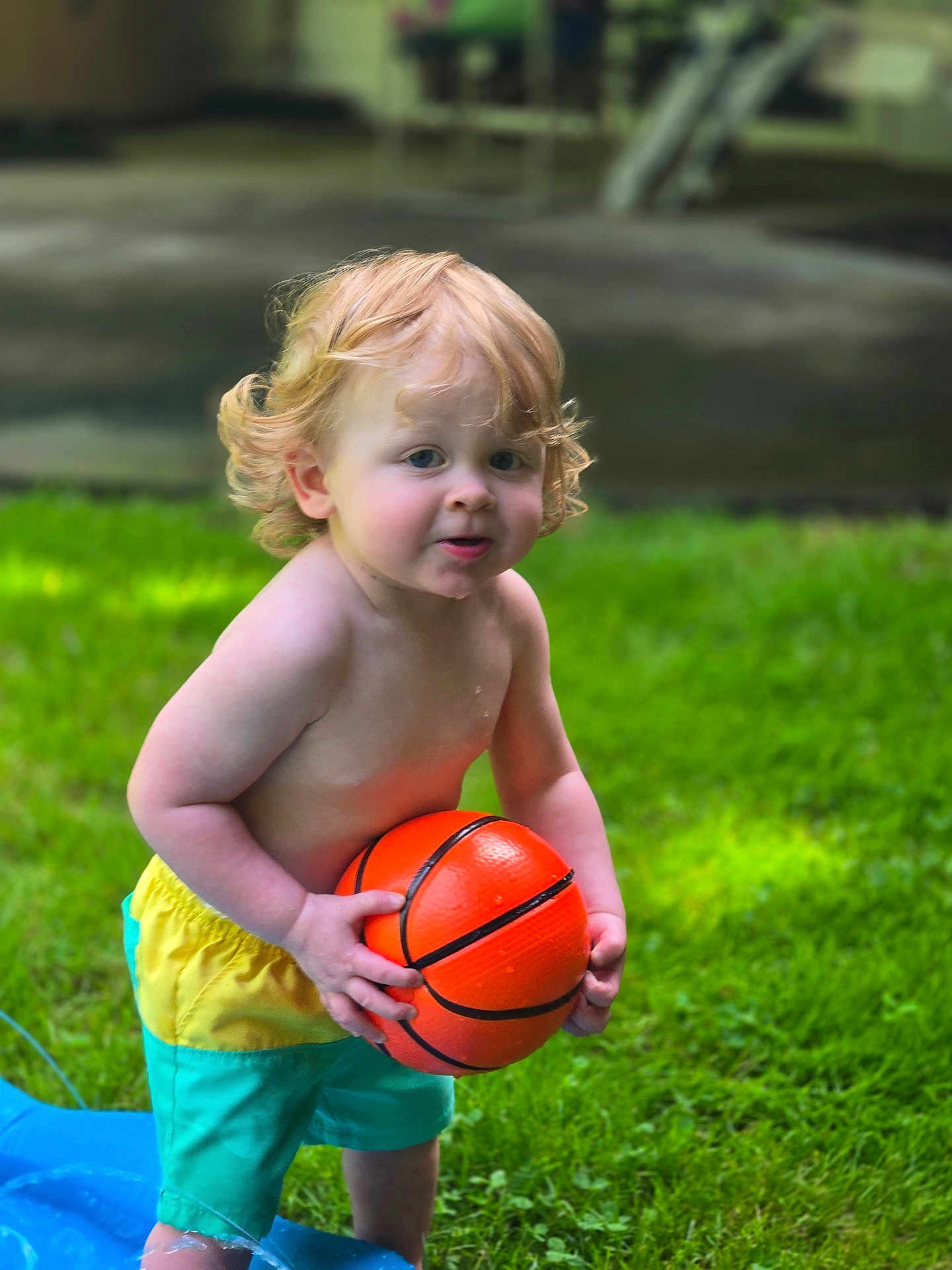Tj. is registered to the contest to win money with this photo: toddler, child, basketball, grass, outdoor, curly_hair, blonde, water, summer, play, bare_chest, shorts, greenery, toy, fun, cute, young_child, nature, sport, active