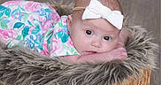 Mackenzie is registered to the contest to win money with this photo: baby, infant, headband, bow, basket, fur, floral_dress, lying_down, curious, portrait, cute, child, indoors, floor, soft_texture, newborn, expression, skin, hands, eyes
