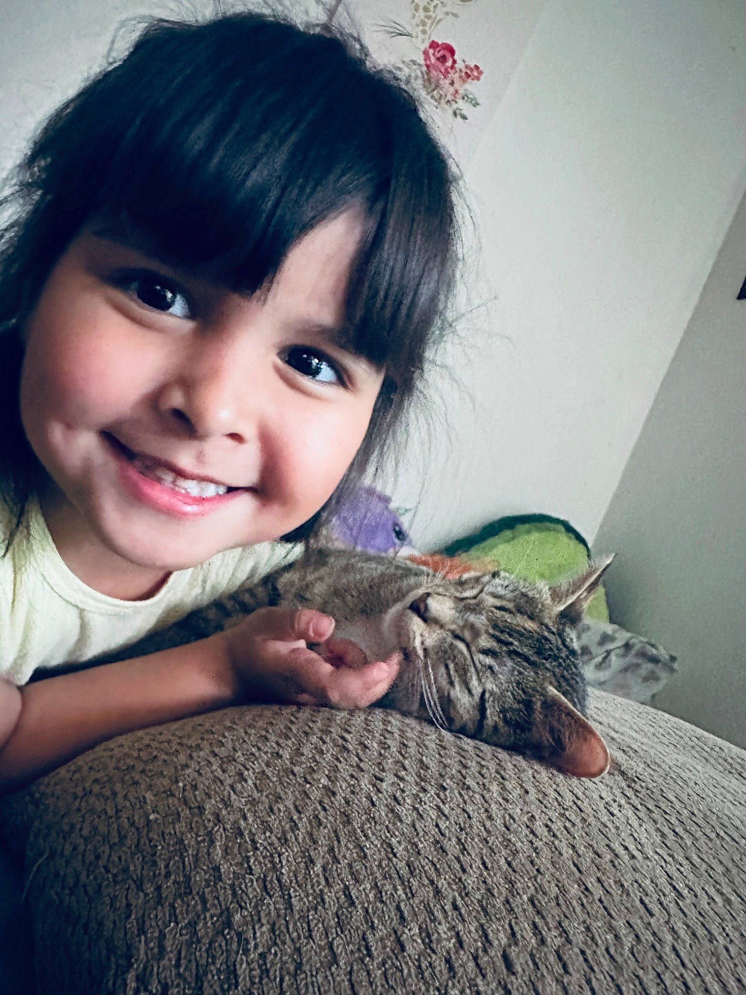 Destiny joined the competition — help win amazing prizes! bangs, black_hair, carnivore, cat, comfort, ear, eyelash, felidae, flash_photography, hair, happy, iris, jaw, joy, neck, nose, person, shoulder, skin, small_to_medium_sized_cats