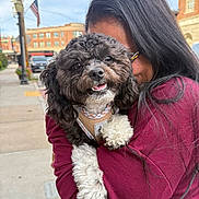 Rocky is registered to the contest to win money with this photo: dog, person, hug, smiling_dog, curly_fur, outdoor, urban, sidewalk, building, flag, leash, harness, black_fur, white_fur, long_hair, glasses, casual_clothing, daytime, happy, close_up