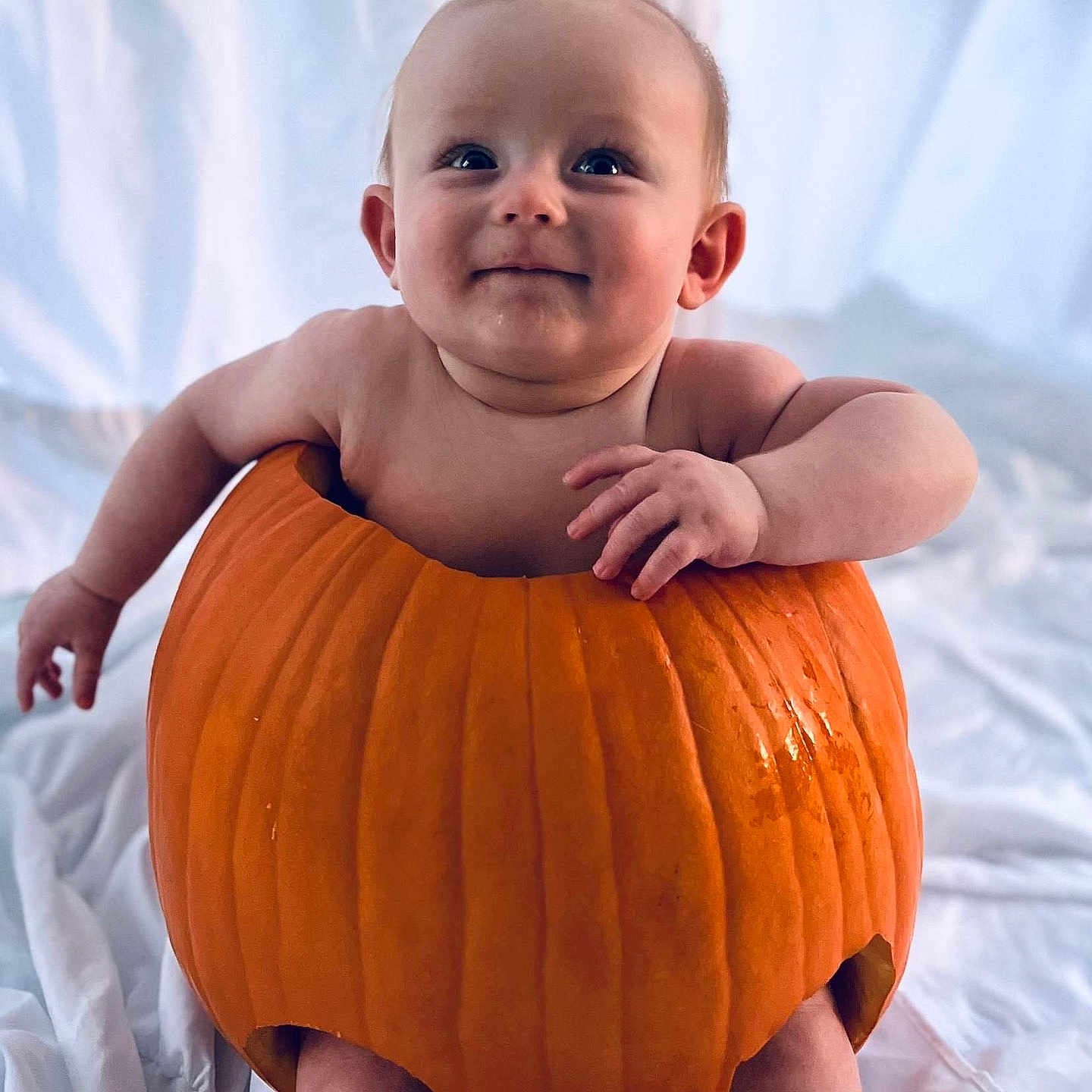 Dallas joined the competition — help win amazing prizes! baby, babylaughing, clothing, face, festival, food, halloween, happy, head, person, photography, plant, portrait, produce, pumpkin, sitting, sleeve, smile, squash, vegetable