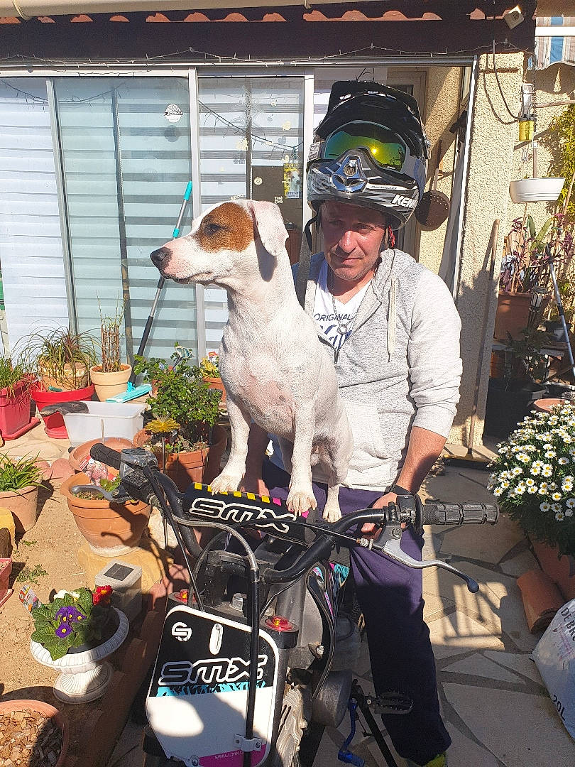 Nougat participe au concours pour gagner de l'argent avec cette photo : adventure, bicycle_accessory, brazilian_terrier, canidae, carnivore, dog, dog_breed, feist, headwear, person, ratonero_bodeguero_andaluz, smooth_fox_terrier, vehicle