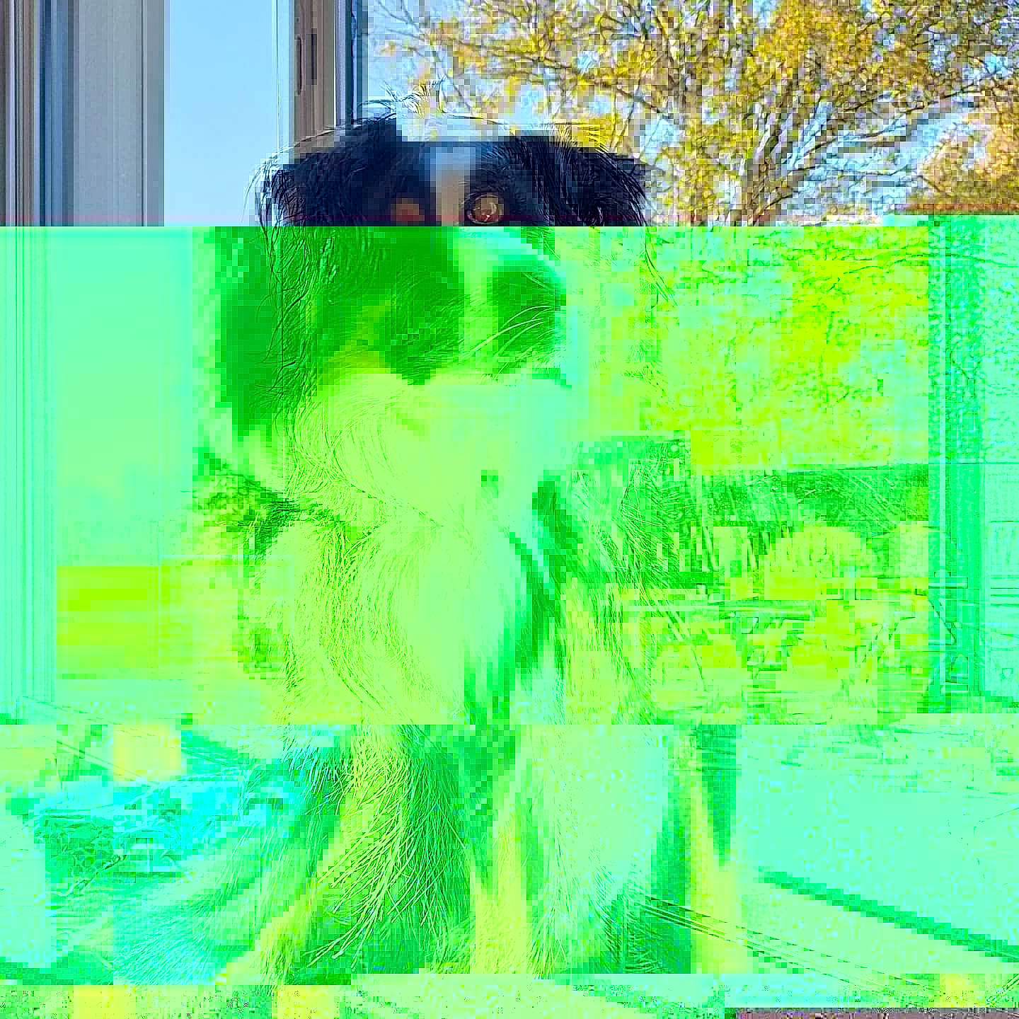 Nuky participe au concours pour gagner de l'argent avec cette photo : art_paint, artwork, colorfulness, drawing, graphic_design, green, illustration, modern_art, paint, painting, rectangle, tints_and_shades