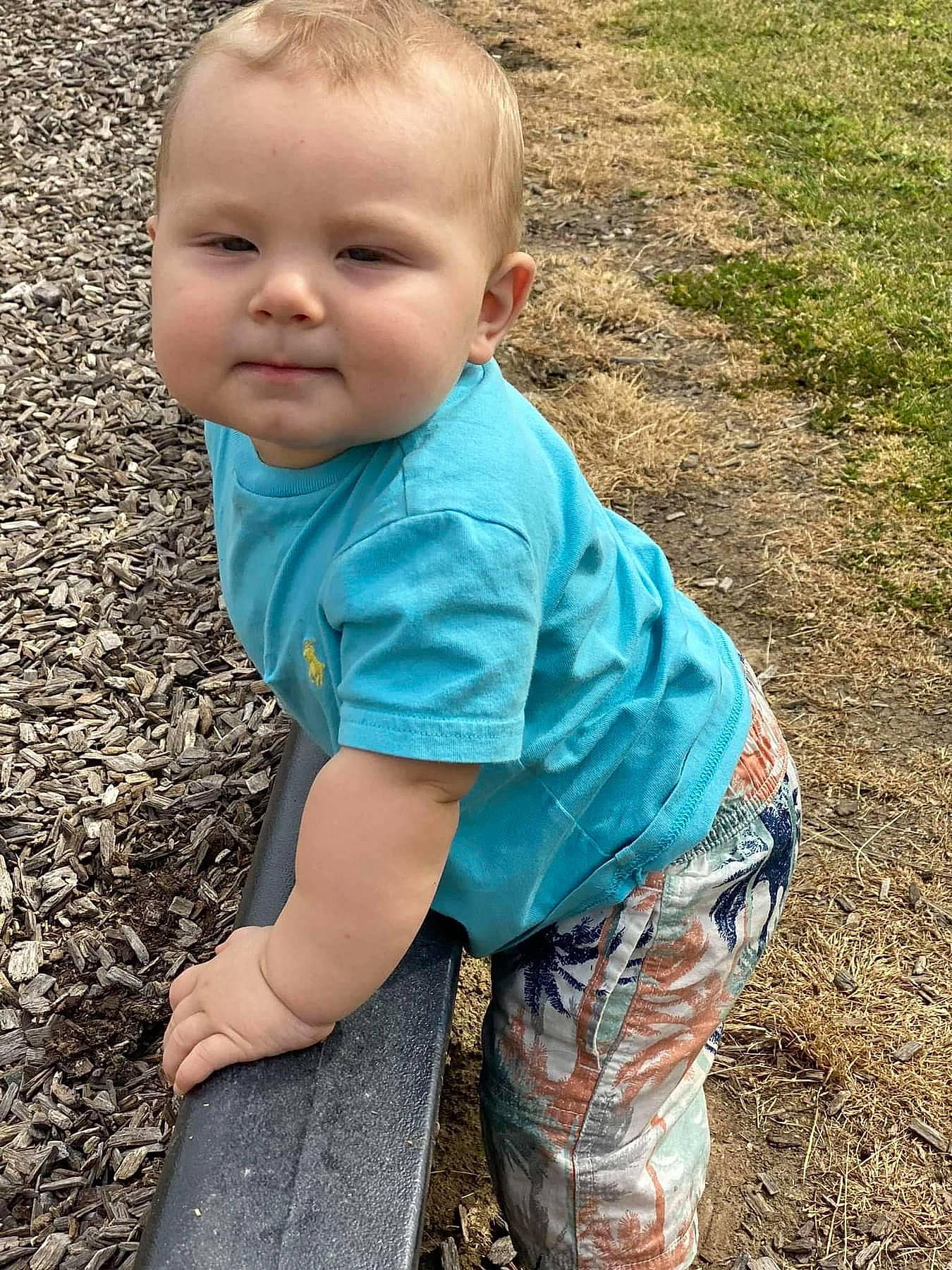Rowen is registered to the contest to win money with this photo: baby, baby_toddler_clothing, child, electric_blue, eye, face, fun, grass, grass_family, happy, head, leaf, people_in_nature, person, plant, sitting, sleeve, soil, t_shirt, toddler
