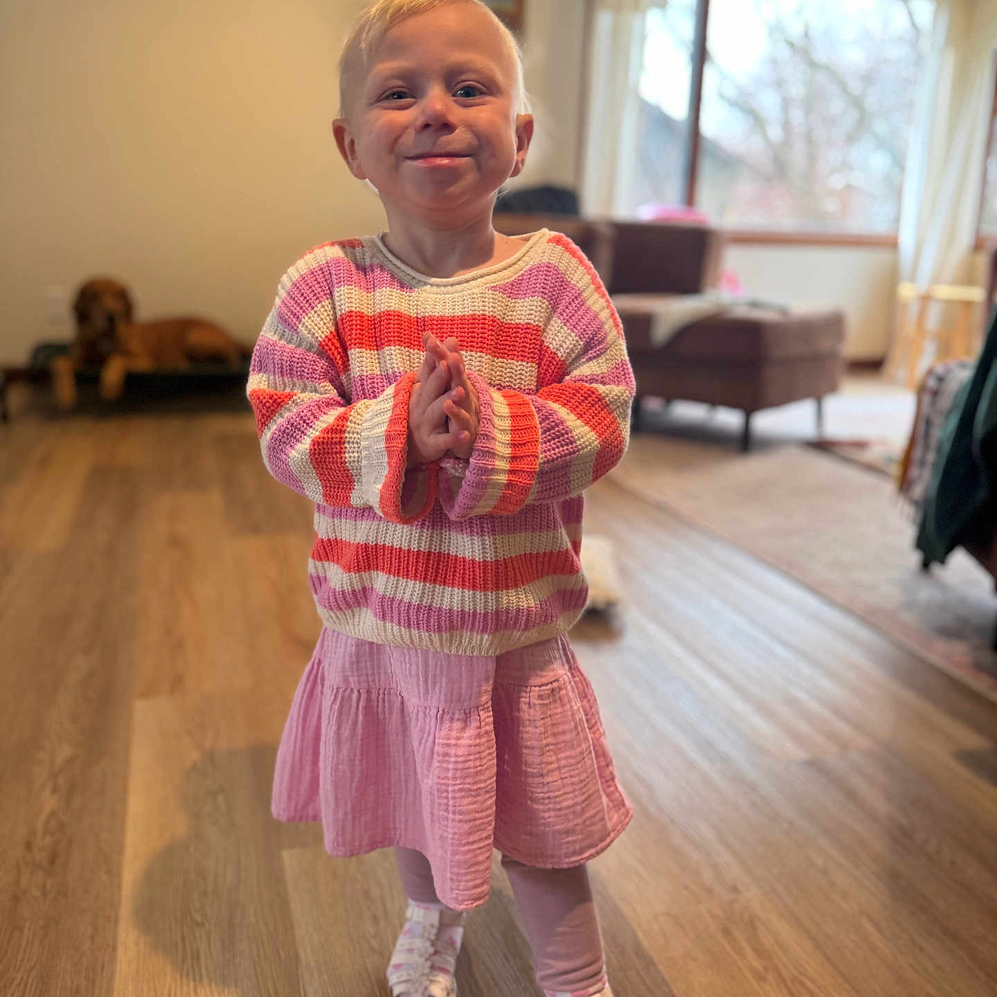 Elana is registered to the contest to win money with this photo: child, indoor, smiling, striped_sweater, pink_skirt, leggings, white_shoes, wooden_floor, dog, sofa, window, curtains, clapping_hands, happy, person, home, furniture, casual_clothing, playful, portrait