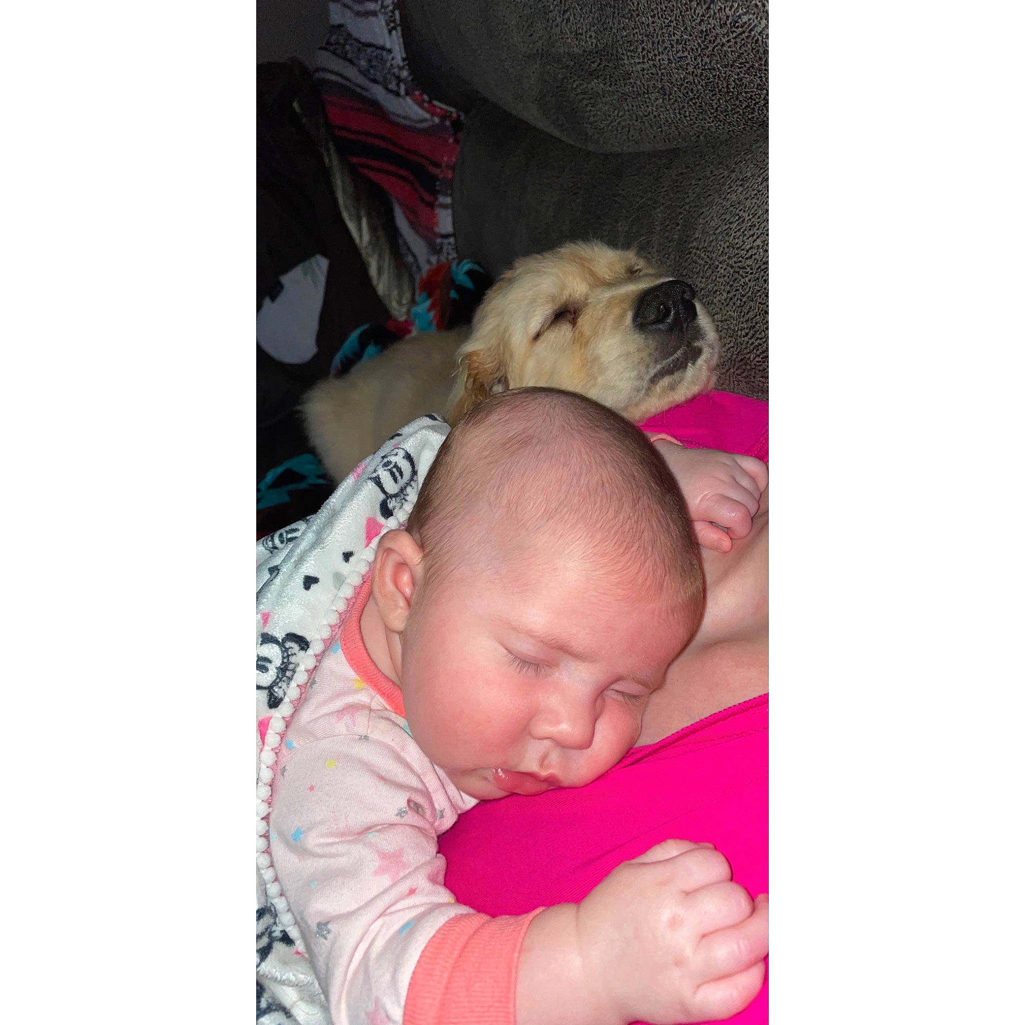 Emmaline joined the competition — help win amazing prizes! baby, baby_products, baby_sleeping, carnivore, child, comfort, companion_dog, dog, ear, fawn, gesture, happy, head, linens, nose, person, selfie, sitting, sleeve, toddler