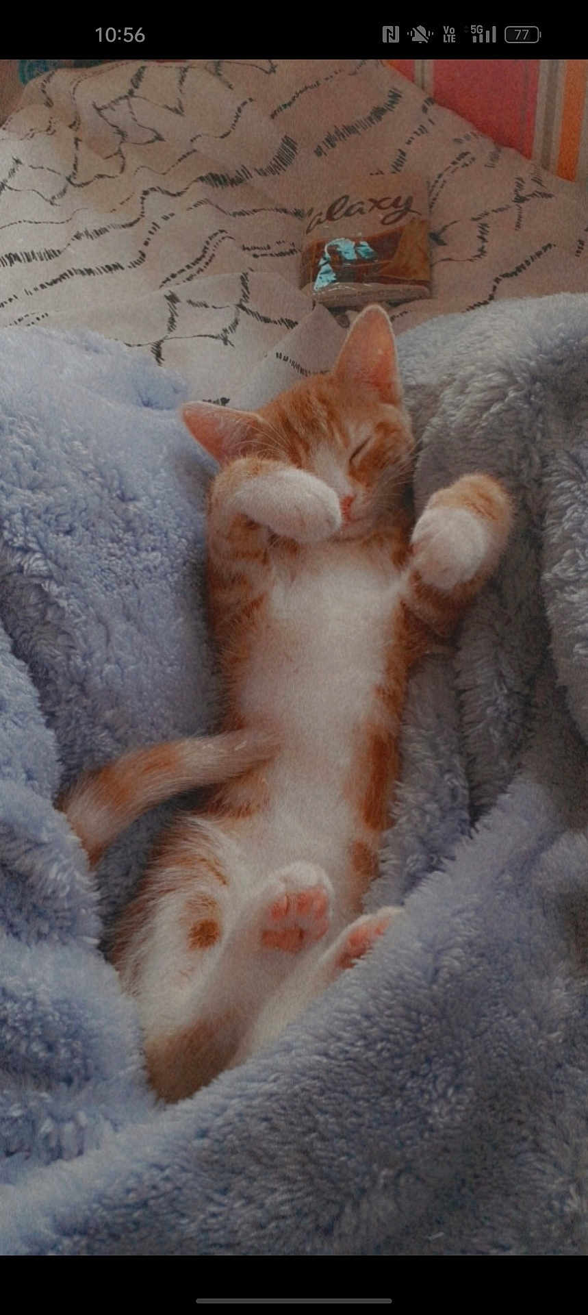 Binx