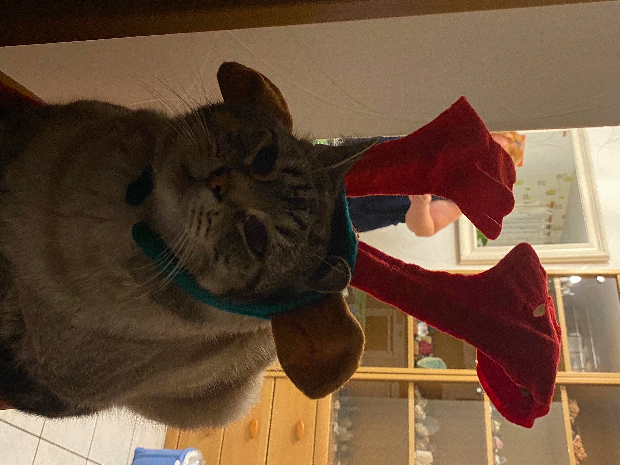 Chaminou participe au concours pour gagner de l'argent avec cette photo : art, black_cat, canidae, carmine, carnivore, cat, domestic_short_haired_cat, fawn, felidae, fur, gesture, personal_protective_equipment, small_to_medium_sized_cats, snout, sporting_group, stuffed_toy, tail, visual_arts, whiskers, wood