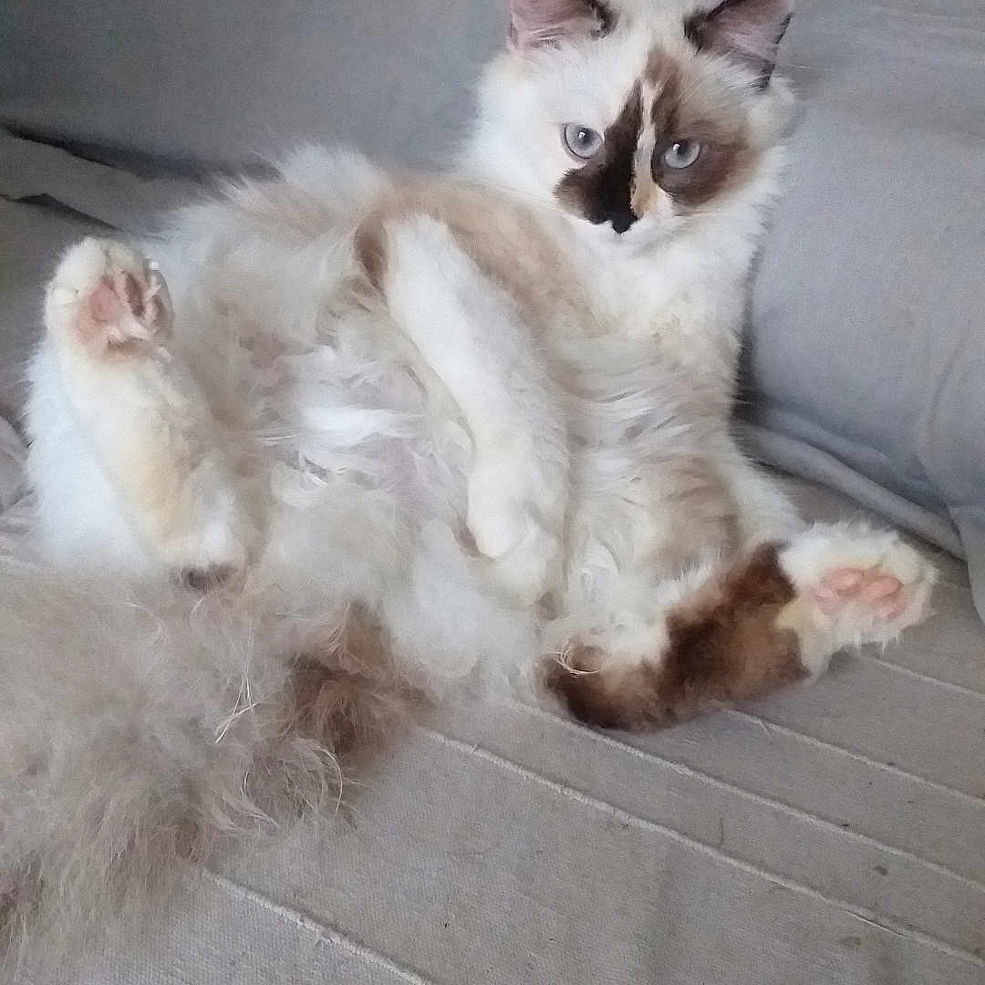 Tina