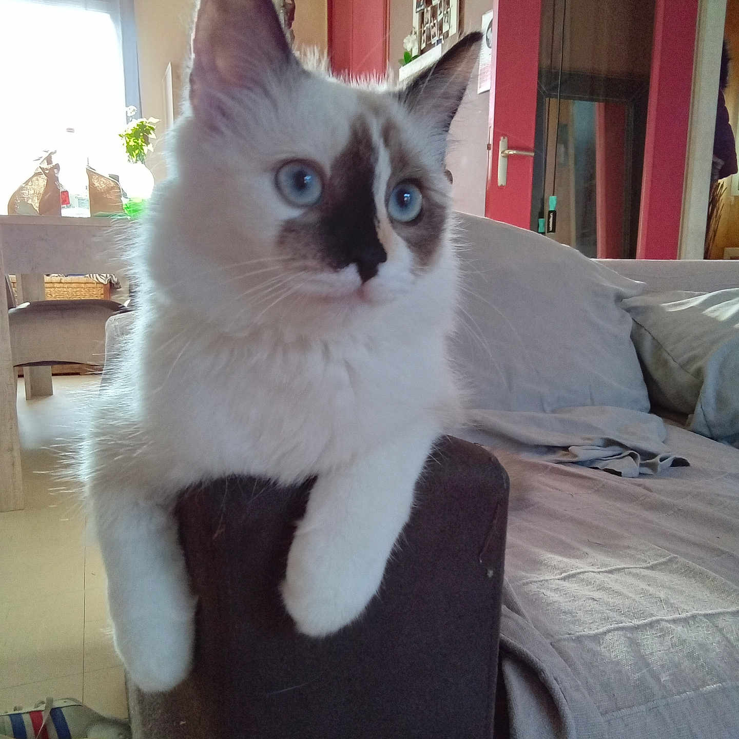 Tina