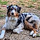 Artus