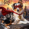 Artus participe au concours pour gagner de l'argent avec cette photo : animal, badge, canine, cape, cityscape, collar, costume, cute, dog, funny, fur, mask, outdoor, paw_print, pet, portrait, rooftop, skyline, sunset, superhero