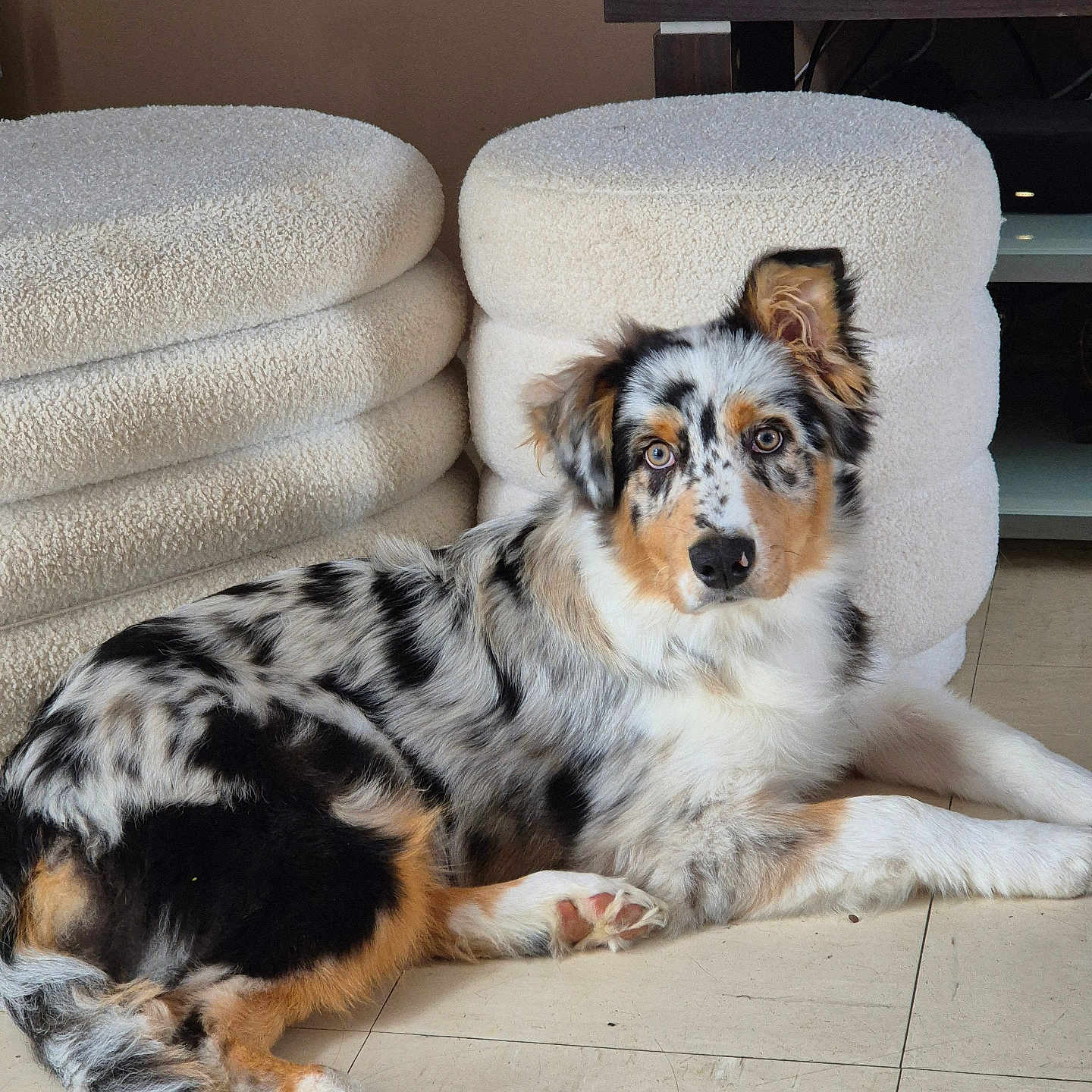 Artus