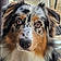Artus