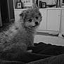Murry is registered to the contest to win money with this photo: