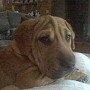 Tilly is registered to the contest to win money with this photo: