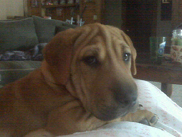 Tilly