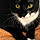 Salem