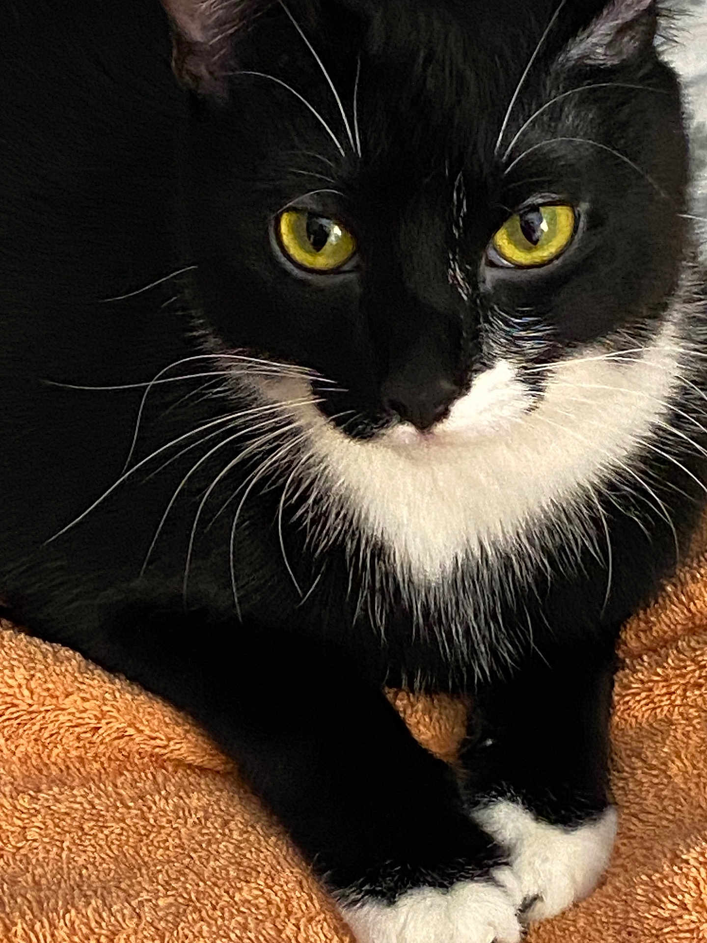 Salem