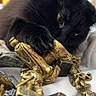 black_cat, cat, chess_pieces, golden, close_up, indoor, pet, animal, playful, curious, feline, paw, board_game, decorative, focus, soft_light, home, table, toy, texture