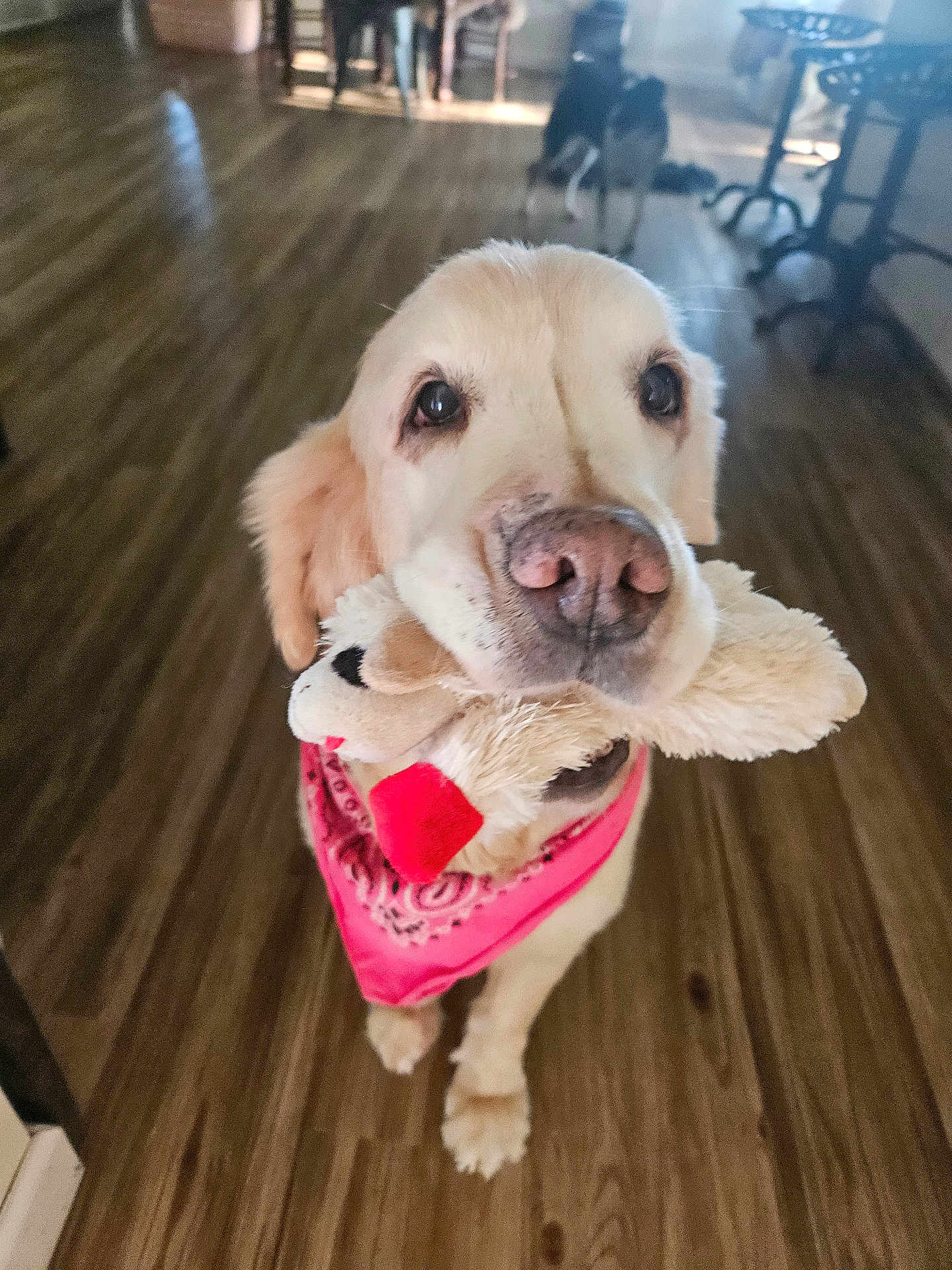 Delilah