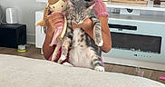 Blair is registered to the contest to win money with this photo: child, girl, cat, doll, mask, pink_clothing, long_hair, indoor, living_room, couch, television, fireplace, shelf, home_decor, peace_sign, pet, holding, portrait, safe, cozy