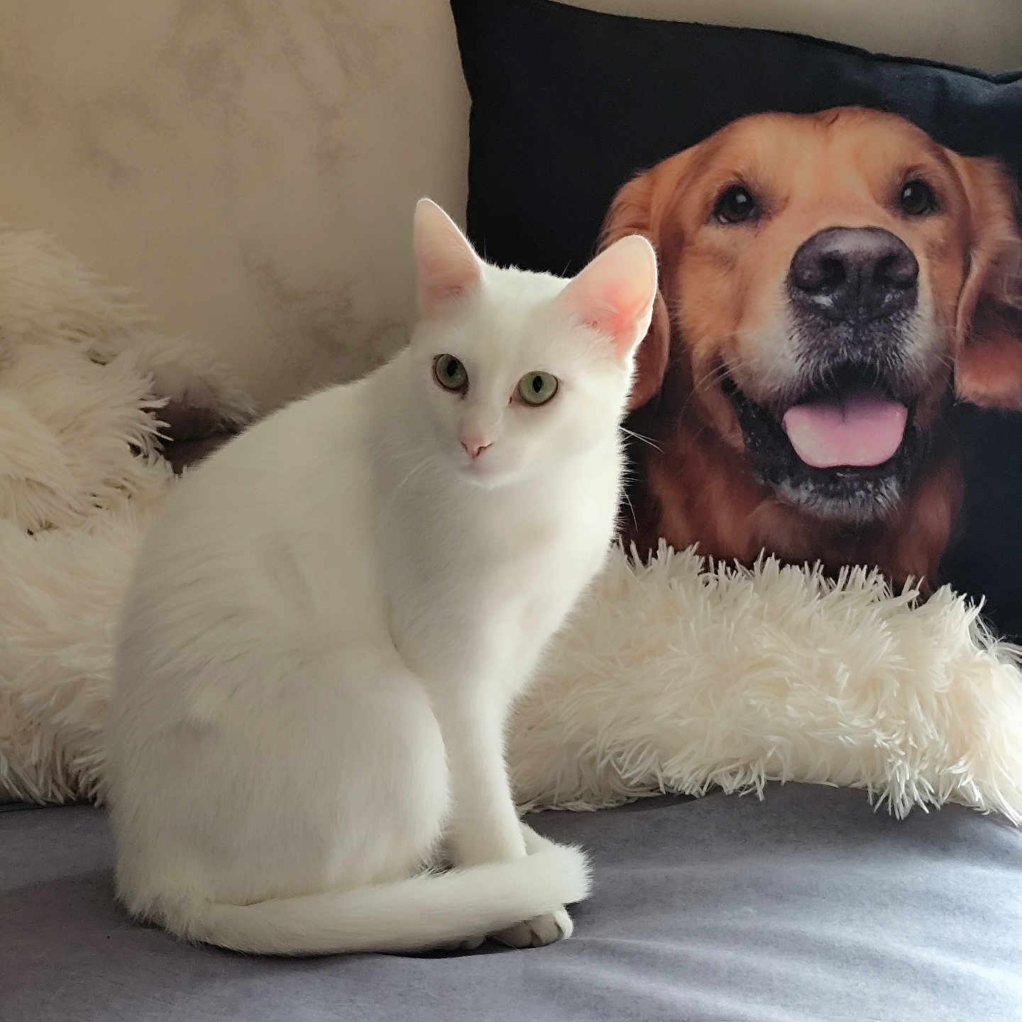 Nala