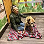 Littleman is registered to the contest to win money with this photo: woman, dog, blanket, indoor, floor, wall_mural, animal_painting, door, glasses, jeans, vest, leash, collar, pet, companion, animal, mural, furniture, flooring, interaction
