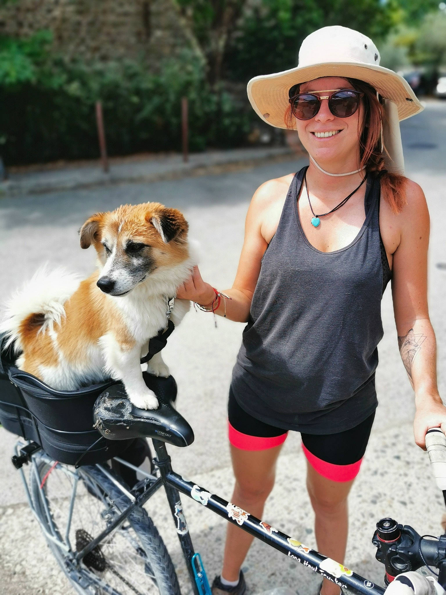 Mambo participe au concours pour gagner de l'argent avec cette photo : adventure, bicycle, bicycle_accessory, bicycle_basket, bicycle_helmet, bicycles_equipment_and_supplies, canidae, carnivore, companion_dog, cycling, dog, dog_walking, eyewear, headgear, leash, recreation, sunglasses, vehicle