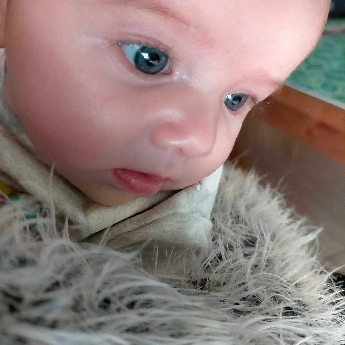 Sophie participe au concours pour gagner de l'argent avec cette photo : baby, baby_toddler_clothing, blond, cheek, child, eyebrow, eyelash, finger, fun, grass, happy, human_body, iris, lip, mouth, nose, skin, toddler, toy, wood