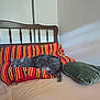 bed, blanket, cat, cozy, domestic_animal, feline, furniture, green_pillow, home, indoor, pet, pillow, relaxed, resting, sleepy, soft_light, striped, striped_blanket, tabby_cat, wooden_headboard