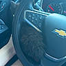 Tink is registered to the contest to win money with this photo: kitten, black_cat, steering_wheel, car_interior, hand, chevrolet_logo, dashboard, furry, pet, animal, vehicle, candid, closeup, feline, cozy, indoor, seat, person, resting, casual
