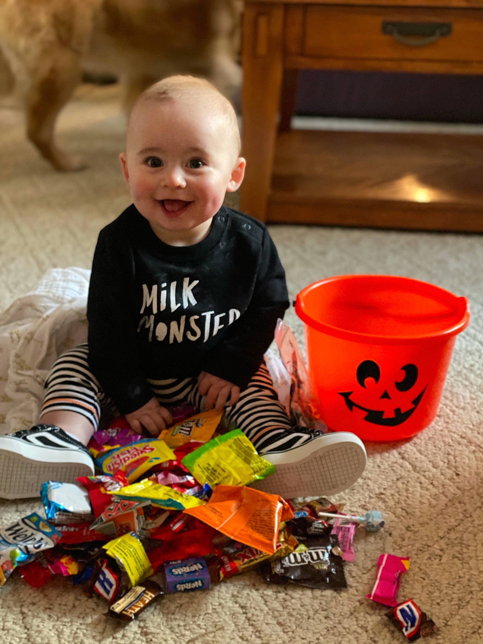 Eastyn joined the competition — help win amazing prizes! baby, baby_toddler_clothing, baby_toys, cabinetry, chest, chest_of_drawers, child, cupboard, drawer, ear, joy, laugh, person, plastic, play, sideboard, toddler, wood_stain, working_animal