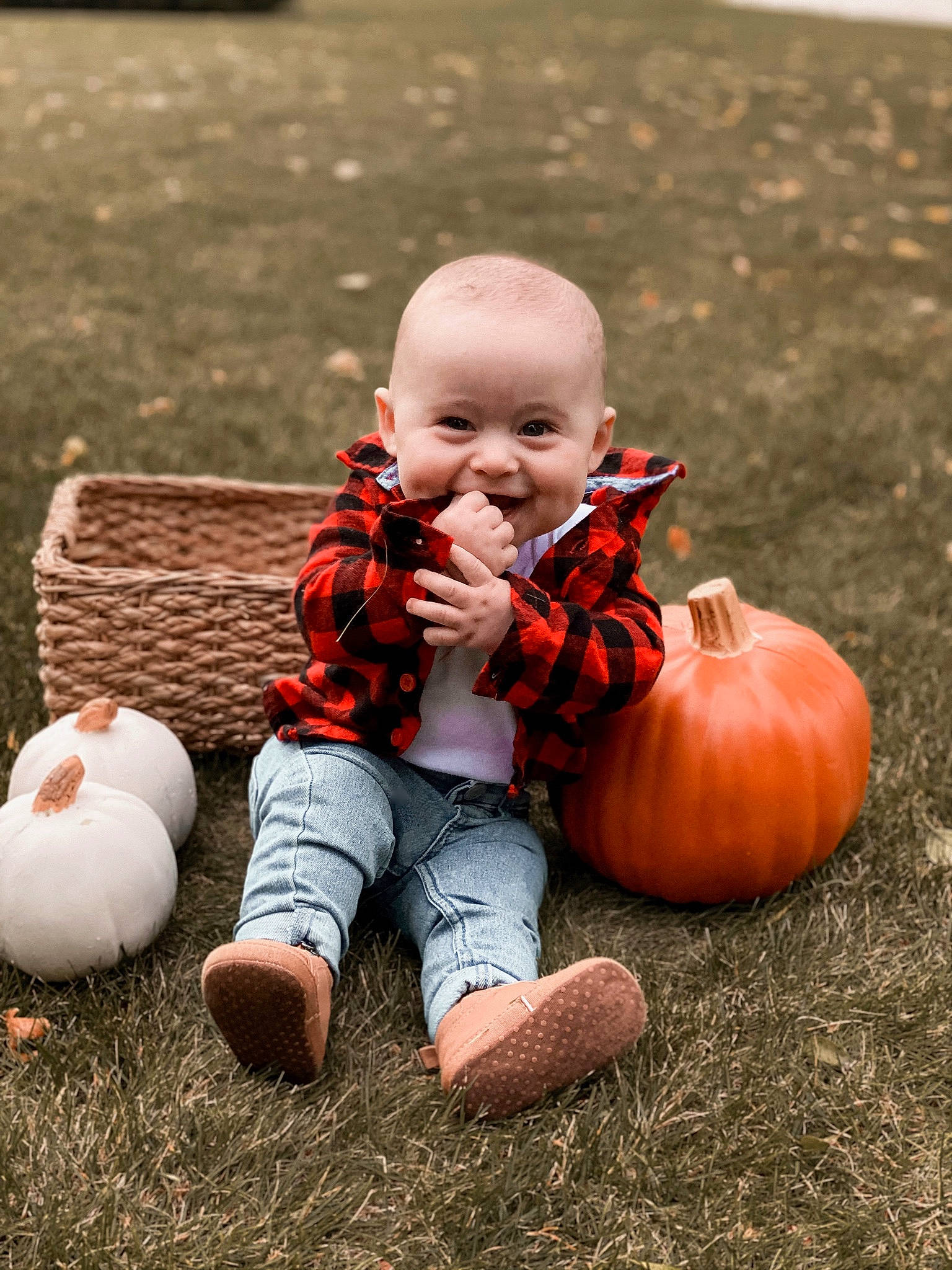 Eastyn is registered to the contest to win money with this photo: _and_melon_family, _gourd, baby, baby_toddler_clothing, calabaza, child, cucumber, cucurbita, gourd, local_food, natural_foods, nose, orange, overall, people_in_nature, person, produce, pumpkin, squash, toddler