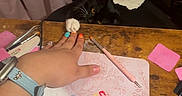 Luna is registered to the contest to win money with this photo: cat, black_cat, white_paw, chair, wooden_table, hand, colorful_nails, nail_art_tools, pink_mat, curtain, indoor, pet, playful, paw, person, watch, tattoo, bottle, pen, relaxed